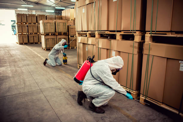 Best Pest Prevention Services  in Romeovle, IL