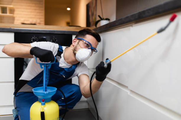 Best Exterminator Services  in Romeovle, IL