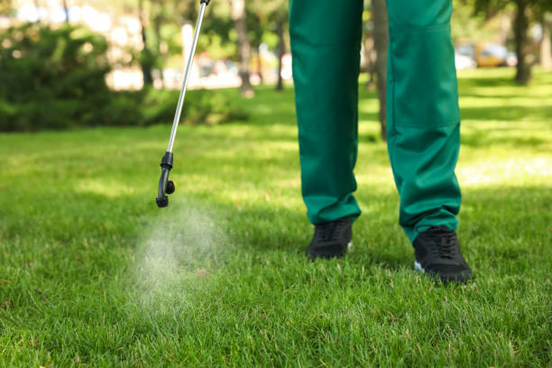 Best Cockroach Control Services  in Romeovle, IL