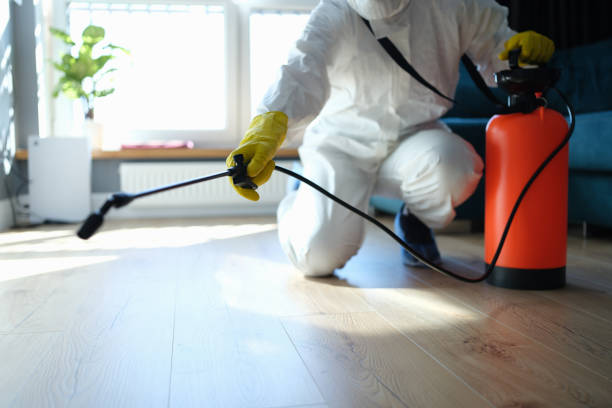 Best Pest Prevention Services  in Romeovle, IL