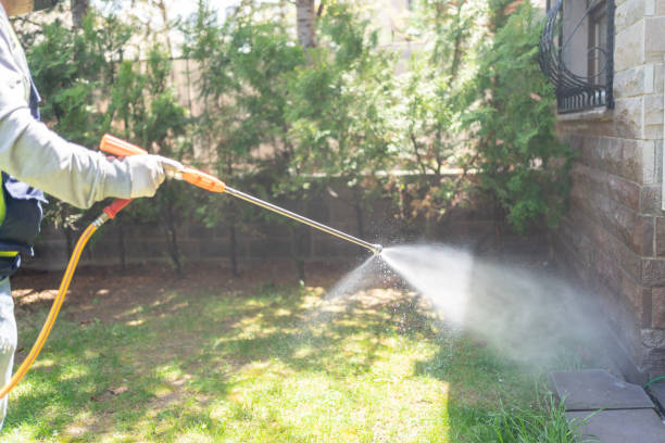 Best Best Pest Control Companies  in Romeovle, IL