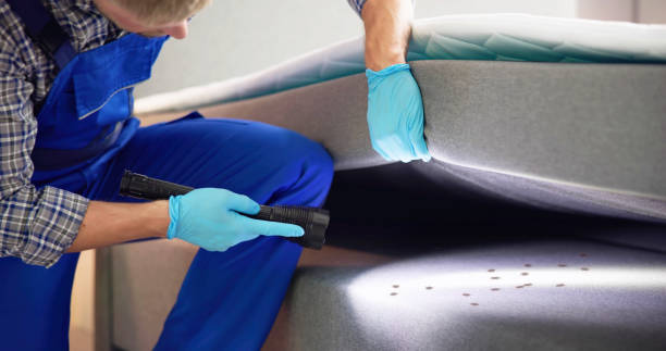 Best Mosquito Control Services  in Romeovle, IL