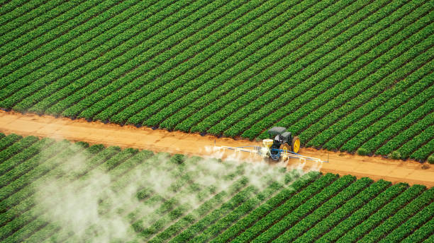 Best Best Pest Control Companies  in Romeovle, IL