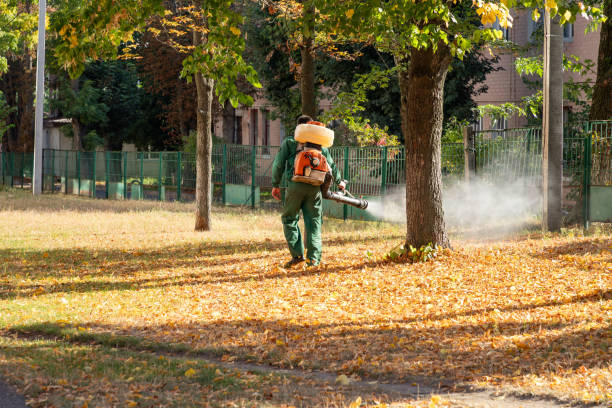 Romeoville, IL Pest Control Company