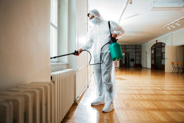 Best Local Pest Control Services  in Romeovle, IL