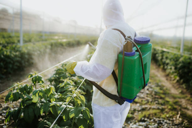 Best Bed Bug Extermination  in Romeovle, IL